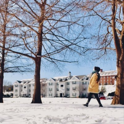 shfel89's profile picture. 