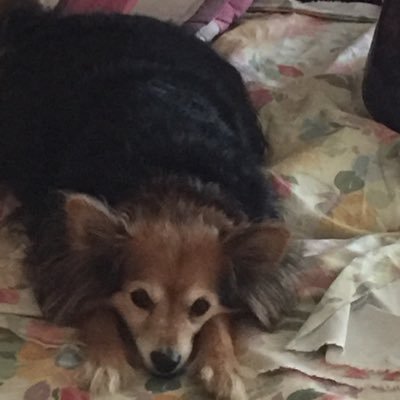 peggywin's profile picture. retired
