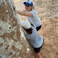 yvonne c learmonth (@so_ycl) 's Twitter Profile