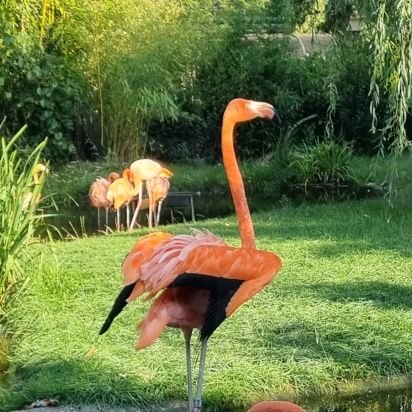 nik_pik22's profile picture. MEV..DEV..