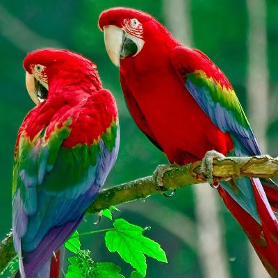 Deag457's profile picture. 