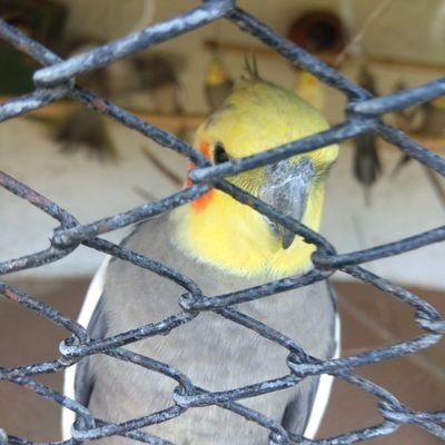 YasinYS6's profile picture. my habit is playing amazon quiz contest