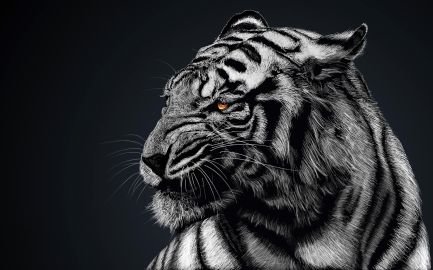 Imnotquinten242's profile picture. Hi