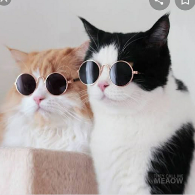 NarakYuki's profile picture. 