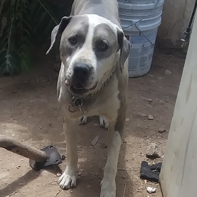 FraijoEdgar's profile picture. Ser yo mismo