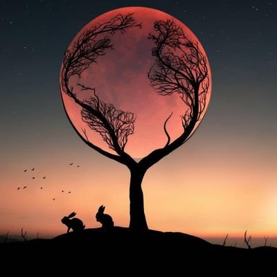 Salum02595753's profile picture. Social Searcher 😷