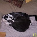 Debbie Mackey Abrams - @DebbieAbrams2 - Twitter