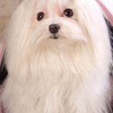 emily flinn - @emily1emily2 - Twitter