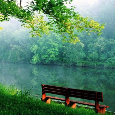 BhartiDugal's profile picture. Alone but happy