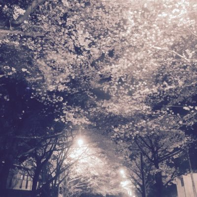 fj_phpfc's profile picture. 