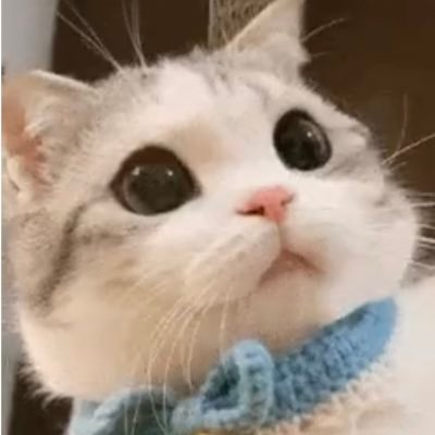fujilinyiさんのプロフィール画像
