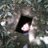 tjacobs1985's profile image