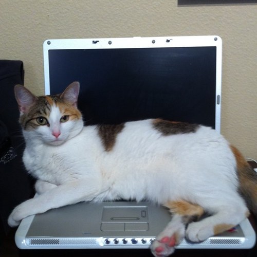 UptownYimmy's profile picture. 