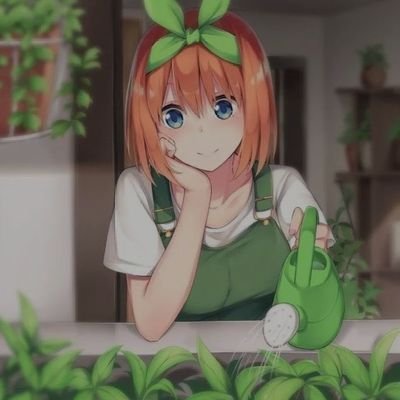 中野 四葉さんのプロフィール画像
