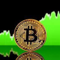 Creek7Crypto's profile picture. 