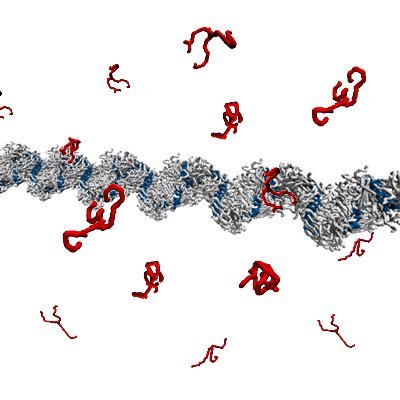 Giovanni M. Pavan Lab Profile