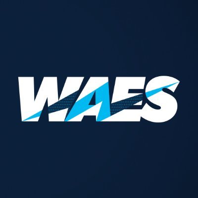 Dutch Software consultancy specialized in large-scale cloud development.
WAES Software Engineers from all over the world solve our clients' toughest challenges.
