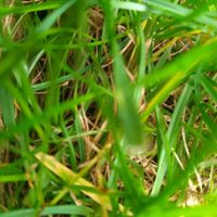 D Jones (@dj86) 's Twitter Profile Photo