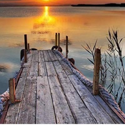 nisha86531224's profile picture. Assistant Professor of Nursing/ Nurse Scientist / Love research and research opportunities.