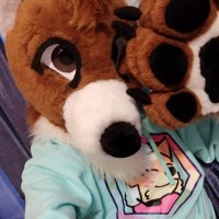 Caramel Dingo 🔜 EVO, BLFC(@dingoyabuki) 's Twitter Profile Photo