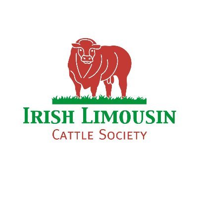 Irish Limousin