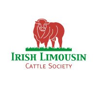 Irish Limousin(@irishlimousin) 's Twitter Profile Photo