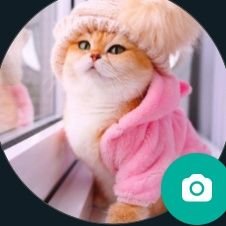 PrecociousDore2's profile picture. 