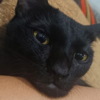 Buy My Arts (@buymyarts) 's Twitter Profile