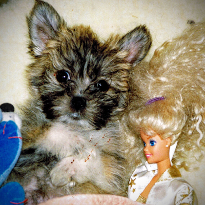 PCUser95432528's profile picture. 