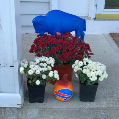 _Rosiegi's profile picture. GI Teacher, Mom of 2, Wife, Buffalo Bills fan since age 10! #BillsMafia