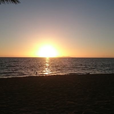 Morning3416's profile picture. 40代会社員です。
ブリーフ派です。
ふらっと海外に出掛けるのが好きです。