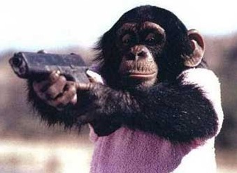 NewRuleSwag's profile picture. Making new rules since last Saturday.