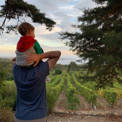 Andre_C_Neves's profile picture. 