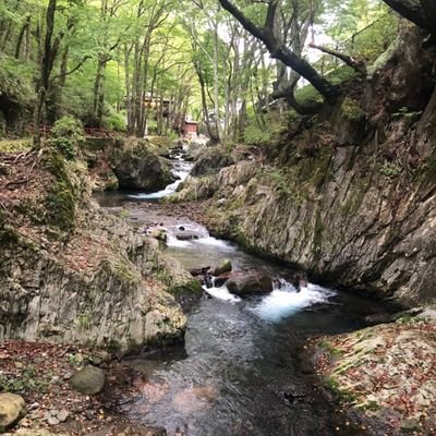 基本はあまりつぶやきません。
釣りが好きで宮城のサーフによくいます。
皆様と仲良く情報交換ができたら嬉しく思います🎵
よろしくお願いします👍
無言でフォローさせていただくことがありますがご容赦ください😭