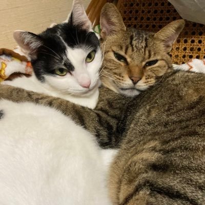 ラズさんのプロフィール画像