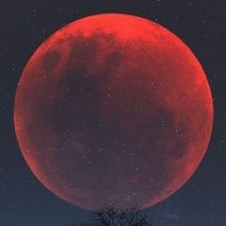 Innocent_Raman_'s profile picture. Sidhuz girl🌸
Rich from heart❤
Black lover🖤
Aujla always🌺