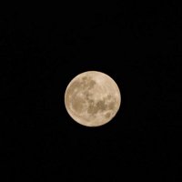 R (@ccs3y) Twitter profile photo