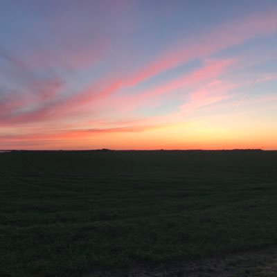 nikkmar828's profile picture. 