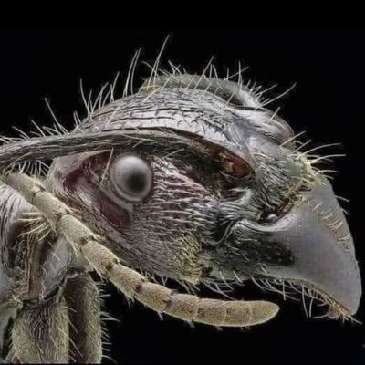 FrantzCorleone's profile picture. 