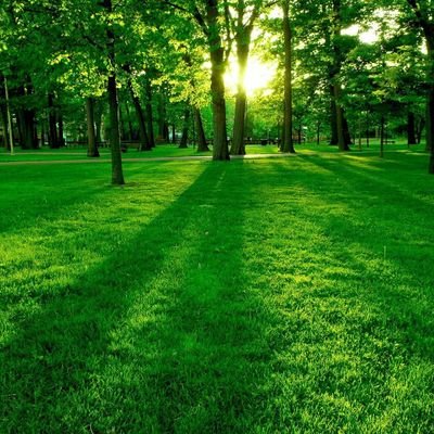 naanusharath's profile picture. ಕನ್ನಡಿಗ | ಪರಿಸರ ಪ್ರೇಮಿ | "ಎಲ್ಲಾ ಧರ್ಮಗಳು ಮನುಷ್ಯಧರ್ಮವೇ ಶ್ರೇಷ್ಠ ಎಂದಿದೆ, ಅರ್ಥೈಸಿಕೊಳ್ಳುವಲ್ಲಿ ಸೋತ ನಾವು ನಮ್ಮದೇ ಶ್ರೇಷ್ಠ ಎನ್ನುತ್ತೆವೇ" : ಕುವೆಂಪು