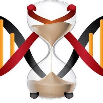 noesisproject_'s profile picture. Noēsis is a non-profit organization, dedicated to helping a struggling human race reach sustainability. #Noesis