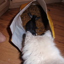 Vicky Bryan - @Vicky_Bryan - Twitter