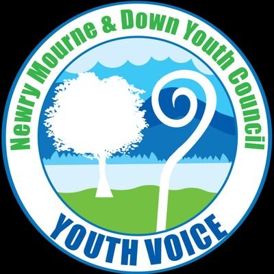 Representative Voices for the Youth of Newry, Mourne & Down.