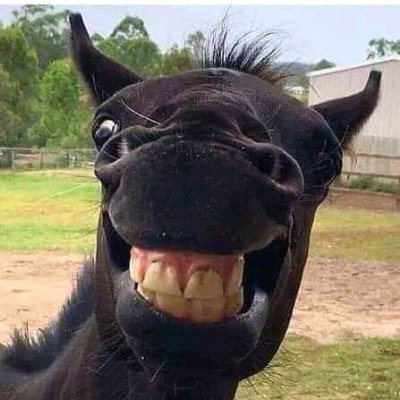 supreme1774's profile picture. High Potential