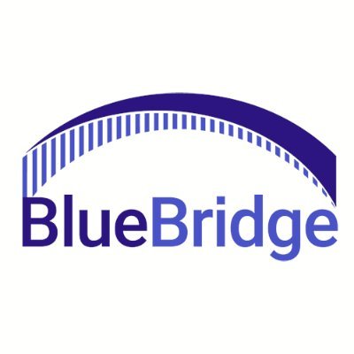 BlueBridgeLLC Profile Picture