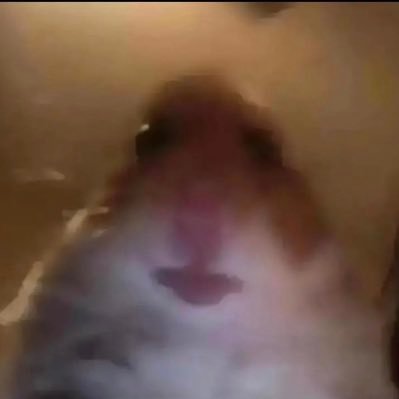 blondebitch60's profile picture. she/her