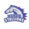 BonitaSMCA's profile picture. Every Stallion, Every Day!