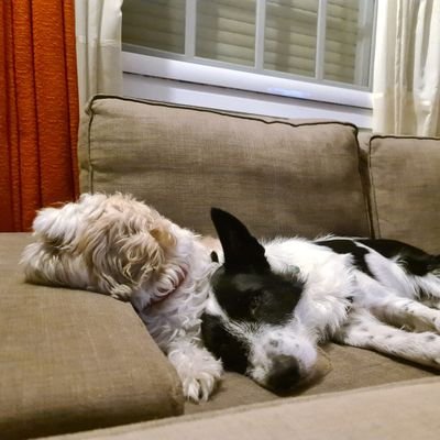 OdTechu's profile picture. 