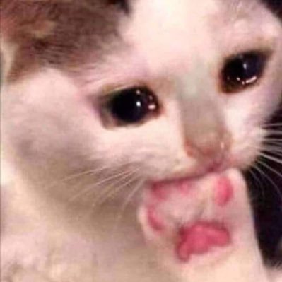 nnxicutyg's profile picture. TT