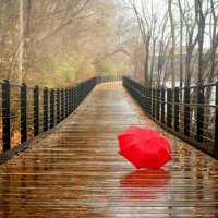 ... (@zooiuo) 's Twitter Profile